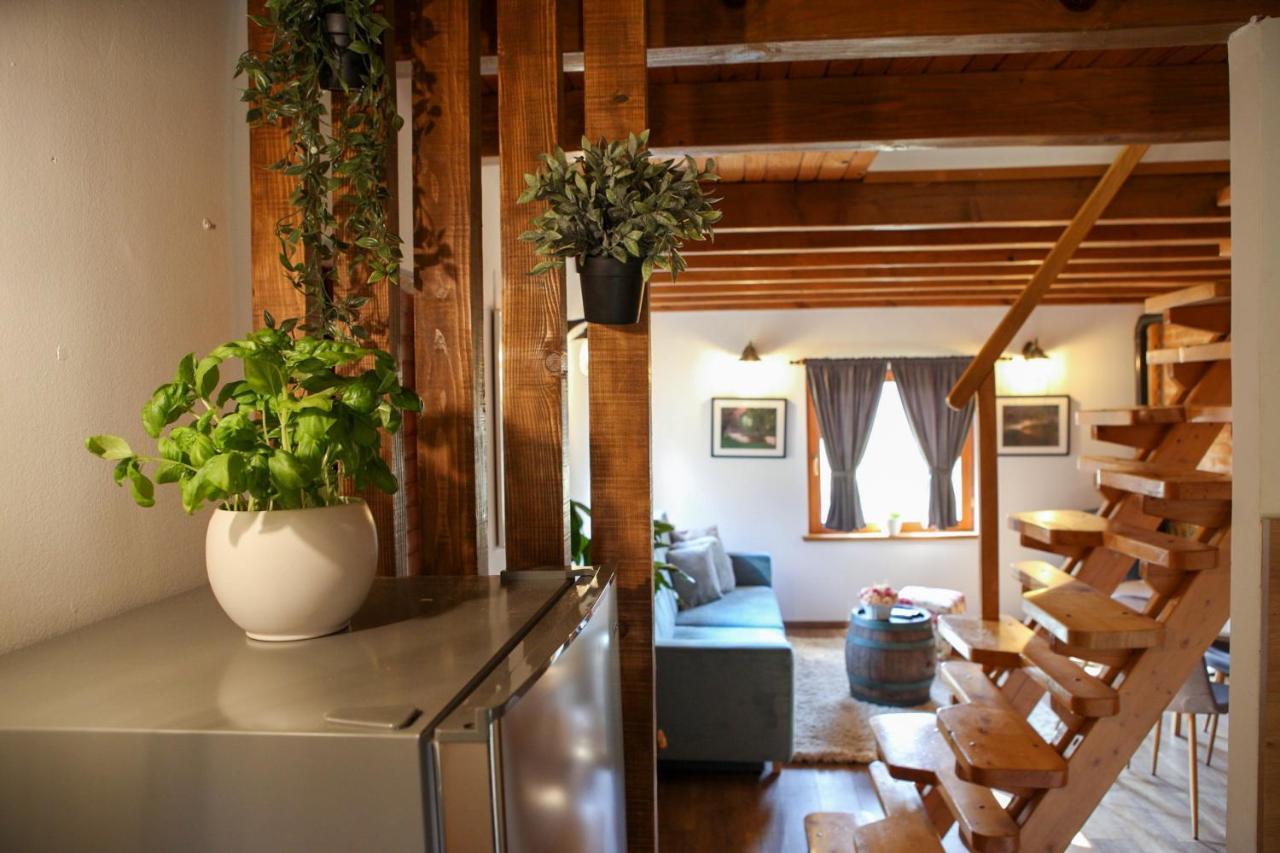 Woodenhouse With Two Apartments Otočac 外观 照片